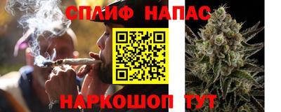 стафф Будённовск