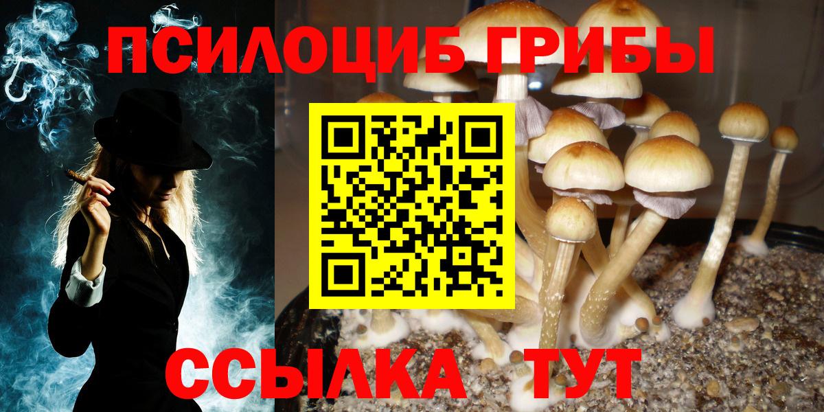Псилоцибиновые грибы GOLDEN TEACHER  Вход с VPN  Павловский Посад 