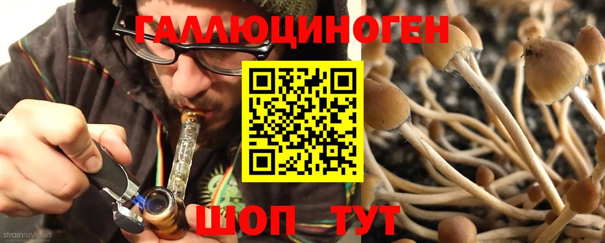 Псилоцибиновые грибы мухоморы Павловский Посад